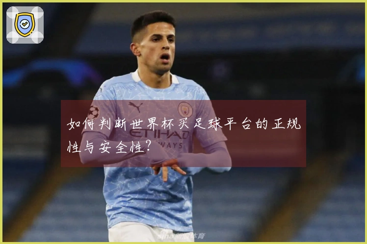 如何判断世界杯买足球平台的正规性与安全性？